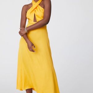 Farm Rio new dress with tag